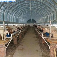 Serre Agricole à Arche Haute pour l'Élevage de Volailles