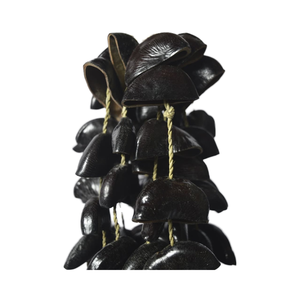 Soporte para instrumentos de cuerda natural BURAHOL Seed Pod Shaker - Product Image 1