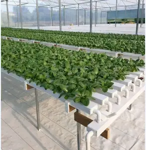 NFT Gully Hydroponic Pvc Channel Hydroponic Growing Systems For Farm Cultivation Hydroponic Nft Channel