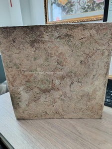 Мх сфагнум, 100 г, небольшая упаковка, Лидер продаж, сушеный мох сфагнум, Лучшая цена - Product Image 2