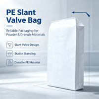 Sacs à valve inclinés en PE imprimés sur mesure, résistants aux déchirures, anti-fuite, inodores, avec valve d'angle pour l'emballage de masterbatch