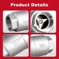 Válvula de Retención Vertical de Acero Inoxidable Multitamaño, Rosca Hembra de 1/2"~4", Válvula Unidireccional para Tuberías de Medios Químicos