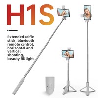 Perche à selfie universelle pour téléphone portable avec lumière d'appoint et télécommande intégrée pour diffusion en direct, rétractable et portable