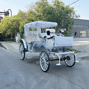 Charrette Équestre Électrique Certifiée CE, à Batterie, 4 Roues, Luxe, pour Mariages, Événements et Services de Visites en Régions Scéniques - Product Image 4