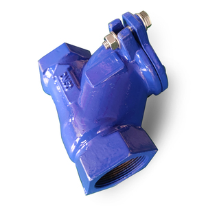 Válvula de Retención de Bola de Hierro Dúctil DN50 CI DI con Brida PN10/PN16 y Extremo Roscado para Medios Básicos CV-DP-1605 - Product Image 4