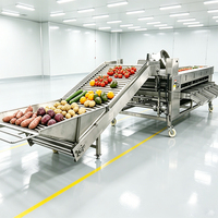 YOUBAN Automatische Fruitgewichtsorteermachine Appel Avocado Tomaat Gewichtsselectiemachine voor Fruitverwerkingslijn