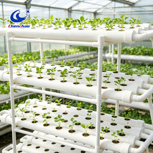 Sistema de Cultivo Hidropónico Comercial a Gran Escala de 3 Niveles, Tubería de PVC Multiusos para Producción de Forraje - Product Image 5