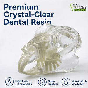 Modelo de cráneo dental de conejo directo de fábrica, modelo de dientes transparente para clínica veterinaria, mandíbula anatómica para consultorio veterinario canino - Product Image 2
