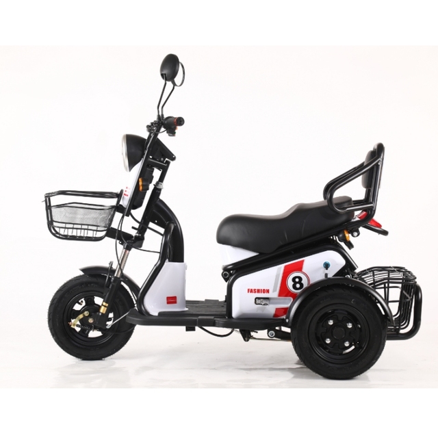 New Design Home Leisure 3 Wheel Tricycle Electric for Adult 300-8 Tire Integrated Seat 48V600W Electric Scooter with Tail Basket