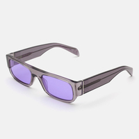 Lunettes de soleil en acétate pour femmes et hommes haut de gamme de luxe à la mode avec logo personnalisé polarisé de créateur violet à monture transparente Mazzucchelli