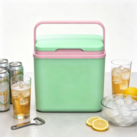 Glacière isotherme portable 11L avec poignée, personnalisable avec logo, pour pique-nique, mini glacière promotionnelle en plastique pour cadeaux