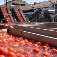 Automatische verwerkingsinstallatie voor tomatenpuree & ketchupproductie met aangepaste capaciteit