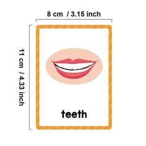 Matériel pédagogique pour l'apprentissage de la lecture, vocabulaire pour l'autisme, mots fréquents de la vie quotidienne, parties du corps, flashcards d'apprentissage - Product Image 6
