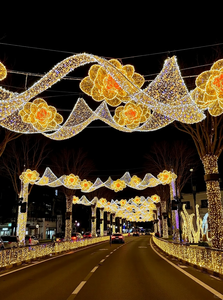 LED 조명 거리 대형 조명 장식 2026 쇼핑몰 호텔 장식 - Product Image 4