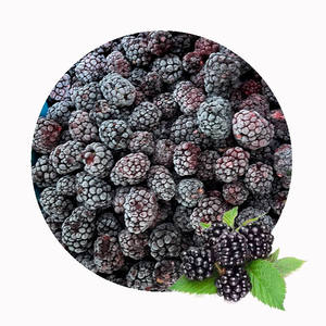 IQF Freeze <span class=keywords><strong>Organic</strong></span> Fresh Blackberries Sweet <span class=keywords><strong>Frozen</strong></span> Fruit em Embalagem a Granel - Product Image 1