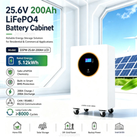 Batterie LiFePO4 25,6 V 2,5 kWh 5 kWh 10 kWh avec écran LCD, 8000 cycles, garantie 5 ans, batterie de stockage d'énergie solaire domestique