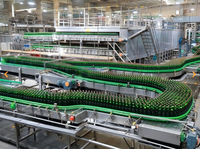 Fournisseur de ligne de production automatique de remplissage de bouteilles en verre pour spiritueux et vins sur mesure OEM