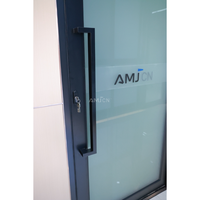 Porte pivotante en verre pour entrée principale, porte pivotante moderne, porte de séparation intérieure de pièce résidentielle personnalisable AMJ As2047, porte pivotante robuste