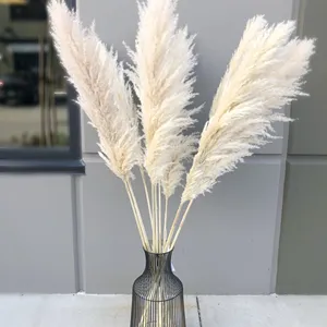 SumFlora Kunming direct factory dried flowers pampas grass for wedding decoration