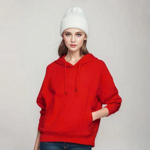 Sweats à capuche personnalisés classiques pour hommes 100% coton poids lourd qualité de luxe brodé doublé velours coupe régulière Streetwear pull - Product Image 4