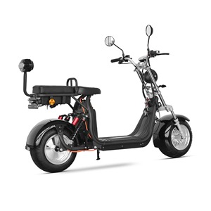 ใบรับรอง EEC COC รถมอเตอร์ไซค์ไฟฟ้า Citycoco <span class=keywords><strong>2</strong></span> ที่นั่ง 1500W 20AH/40AH แบตเตอรี่ลิเธียม ระยะทางวิ่งไกล - Product Image 3