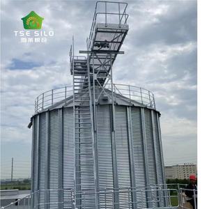 गेहूं मकई भंडारण के लिए गर्म-डुबकी गैल्वेनाइज्ड आटा मिल स्टील साइलो - Product Image 6
