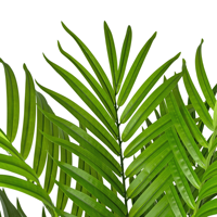 Palmier artificiel de haute qualité de 180 cm avec des feuilles vertes au toucher réel, plante artificielle de type bonsaï pour la décoration intérieure et les projets hôteliers