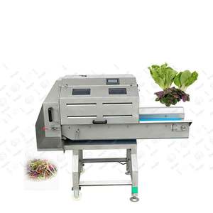 Machine industrielle de découpe de légumes pour le traitement des légumes et l'équipement professionnel de coupe - Product Image 2