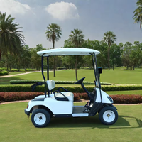 Tong Cai Meilleure voiturette de golf miniature de luxe 72V fabriquée en Chine tout-terrain 2 places avec pare-chocs en aluminium à propulsion électronique