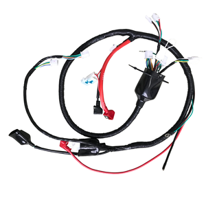 تجميع الكابلات عالية الجودة إنتاج مخصص جميع أنواع تسخير السيارات من الشركة المصنعة - Product Image 5