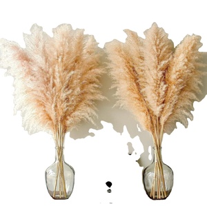 Arrangement de fleurs de bohème de haute qualité pampa sèche énorme herbe de roseau pour la décoration de mariage à la maison nouvel an - Product Image 1