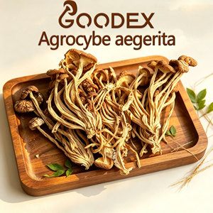 GOODEX Agrocybe <span class=keywords><strong>Aegerita</strong></span> Directement de l'usine - Product Image 1