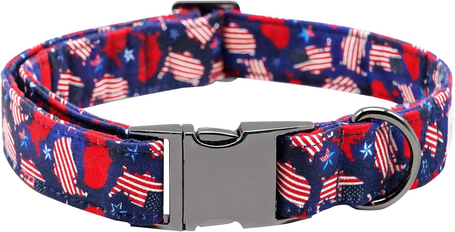 X - Small (Pack of 1)