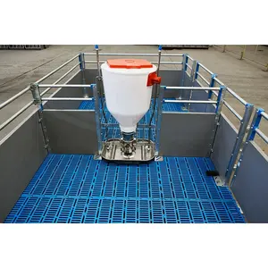 Excellent price automatic feeders for pigs automatic pig feeder