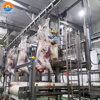 Ligne d'abattage de bovins certifiée CE, projet clé en main, équipement d'abattoir de petite taille, garantie 1 an pour l'installation d'une usine d'abattage de vaches