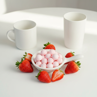 Suikerloze vitamine C aardbei fruit smaak tablet snoepjes frisse adem zak bulk