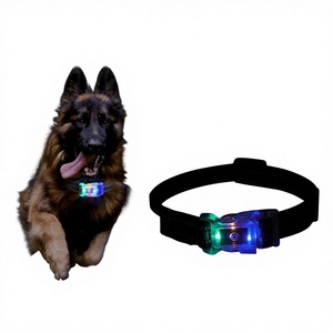 طوق مضيء متعدد الألوان للقطط والكلاب، قابل لإعادة الشحن عبر USB، مقاوم للماء، مصنوع من النايلون، مضاد للضياع، قابل للتخصيص - Product Image 1