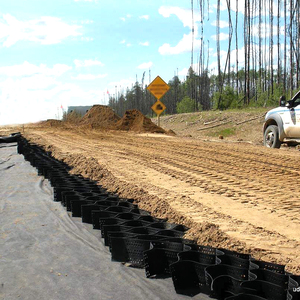 Lude terram hdpe pp geocell שחור חיצונית שביל שמירה על קיר תלול פתרון 3D מודל עיצוב יכולות רתך חלקה - Product Image 2