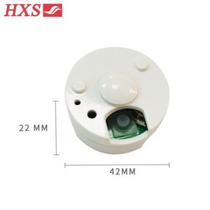Module sonore enregistrable avec bouton poussoir, boîte enregistreuse vocale, boîte audio personnalisée pour jouet en peluche, cadeau - Product Image 1