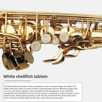 Factory Wholesale High Performance Brass Tenor Bb Saxophone Gold Lacquer Rust Resistant High-grade Waterproof Case Instrument