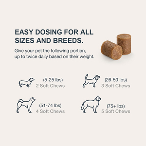 Integratori Naturali Biologici all'Olio di Canapa per Gatti e Cani, Supporto Immunitario, Vitamine e Minerali, Senza Cereali e Sicuri - Product Image 4