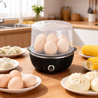 Nouvelle conception, cuiseur à œufs électrique portable pour la cuisine, en acier inoxydable et PP, capacité de 7 œufs