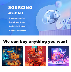 Quốc Tế Giá Rẻ Cửa Đến Cửa Giao Hàng Vận Tải Hàng Không Ddu Fedex TNT DHL UPS Giao Hàng Đến Mỹ Châu Âu Thể Hiện Đại Lý Chuyển Phát Nhanh - Product Image 4