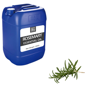 Vente en gros en usine Échantillon gratuit en vrac Huile essentielle de romarin Huile de romarin naturelle non diluée biologique de marque privée <span class=keywords><strong>pour</strong></span> le soin des <span class=keywords><strong>cheveux</strong></span> - Product Image 2