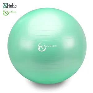 Zhensheng Wholesale Custom Logo Stability Balance Gym Yoga Ball