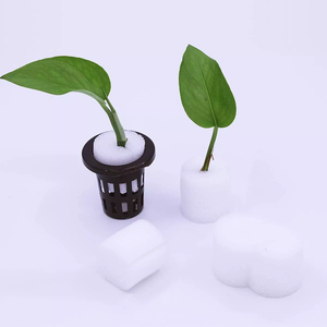 Bloque grande <span class=keywords><strong>de</strong></span> plántulas <span class=keywords><strong>de</strong></span> PVC para <span class=keywords><strong>cultivo</strong></span> hidropónico sin suelo, <span class=keywords><strong>esponja</strong></span> <span class=keywords><strong>de</strong></span> una sola capa, <span class=keywords><strong>cultivo</strong></span> <span class=keywords><strong>de</strong></span> plantas <span class=keywords><strong>de</strong></span> algodón para uso agrícola - Product Image 5