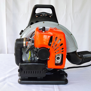 EB650 टू-स्ट्रोक गैसोलीन बैकपैक एयर ब्लोअर बैकपैक पेट्रोल लीफ ब्लोअर पार्क बागवानी प्रूनिंग और सफाई लीफ ब्लोअर इंजन - Product Image 3