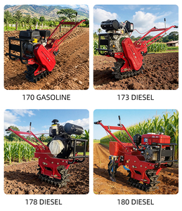 Microcultivador Rotatorio <span class=keywords><strong>de</strong></span> Gasolina a Precio Económico, Cultivador Rotatorio <span class=keywords><strong>de</strong></span> Gasolina en Oferta, Máquina <span class=keywords><strong>de</strong></span> Arar, Mini Cultivador Diésel - Product Image 5