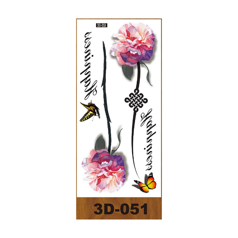 3 d051