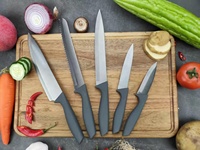 Geカスタマイズde huishoudelijke koksmessen, broodmes, fruitmes, 5-delige set met kunststof handvat